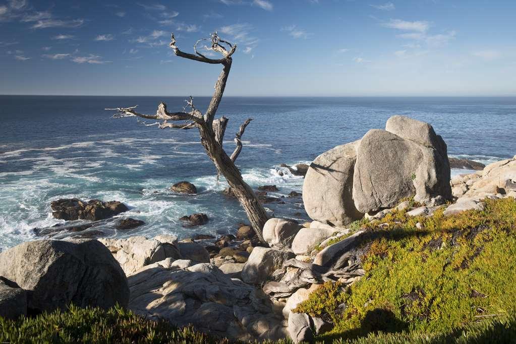 Pebble Beach Inn At Spanish Bay מראה חיצוני תמונה